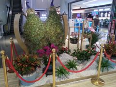 -苏宁广场·城市奥特莱斯(天府立交店)