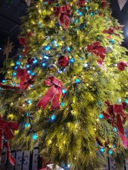 -幻贝家儿童乐园(苏州中心店)