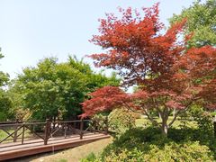 -尚贤河湿地