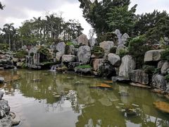 -东莞植物园