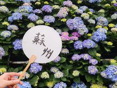 -苏州上方山国家森林公园