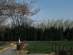 -汉长安城未央宫国家考古遗址公园