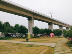 -秀丽东方