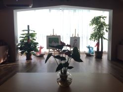 -小熊维尼高端儿童摄影(南山信和店)