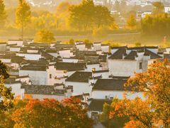 -塔川景区