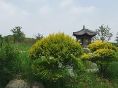 -水西公园