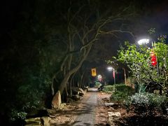 -雨花胜境