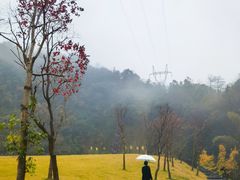 -梅岭月亮湾山体公园