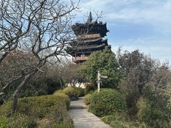 -杭州半山国家森林公园