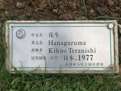 -人民公园(罗湖区)