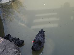 -径山花海