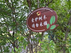 -圣爵菲斯大酒店(长沙世界之窗店)