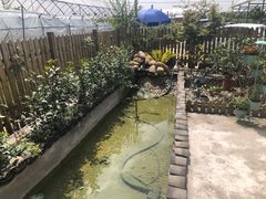 -美家乐农庄·露营·团建(大治路店)