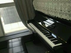 -梅纳·钢琴声乐架子鼓Mena Music(双井店)