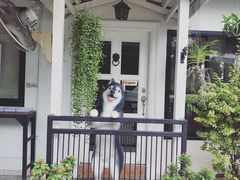 -TrueLove @ Neverland (Husky Cafe)