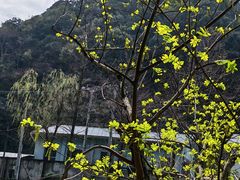 -泽雅七瀑涧景区
