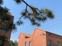 -中国艺术研究院油画院