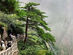 -黄山风景区