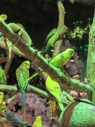 -酷嗒动物文化乐园(cutezoo西溪乐天城店)