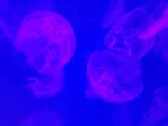 -沈阳海洋探索中心