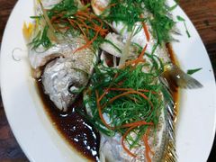 -四季美蚝皇