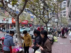 -胡世羊肉汤(南街店)