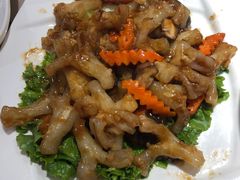 三鲜烧蹄筋-添福来墨鱼饺子 · 海鲜东北菜(泡崖店)