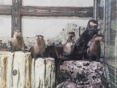 -杭州长乔极地海洋公园