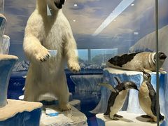 -国家自然博物馆