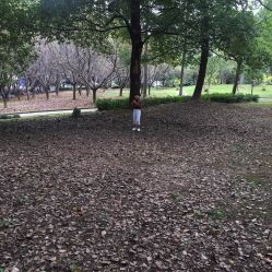 iphone_upload_pic-爱你宝贝孕婴亲子摄影美学馆(绍兴店)