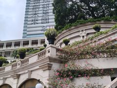 -九龙公园