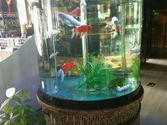 -08涮肉坊(广顺南大街店)