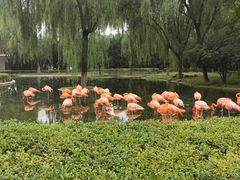 -石家庄市动物园