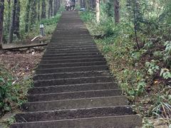 -东白山