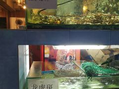 -真浪大家乐海鲜餐馆