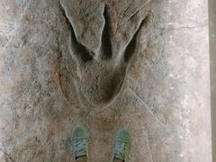 -湖南省地质博物馆