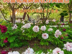 -太阳宫公园