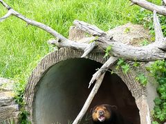 -上海野生动物园
