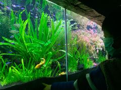 -上海海洋水族馆