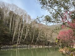 -灵栖洞天