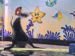 -太平洋海底世界