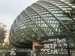 -凤凰中心