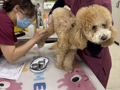 -美联众合动物医院·24h京西诊疗中心