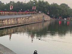 -西湖游船