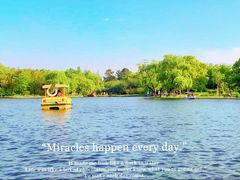 -上海共青森林公园