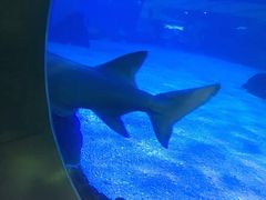 -常州海昌海洋探索馆