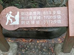 -滴水岩森林公园