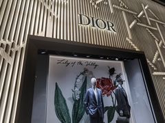 -Dior迪奥(国贸商城店)