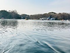 -上海海湾国家森林公园