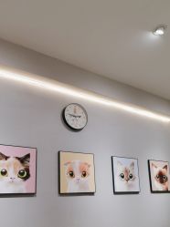 -洗脸猫·洗脸吧